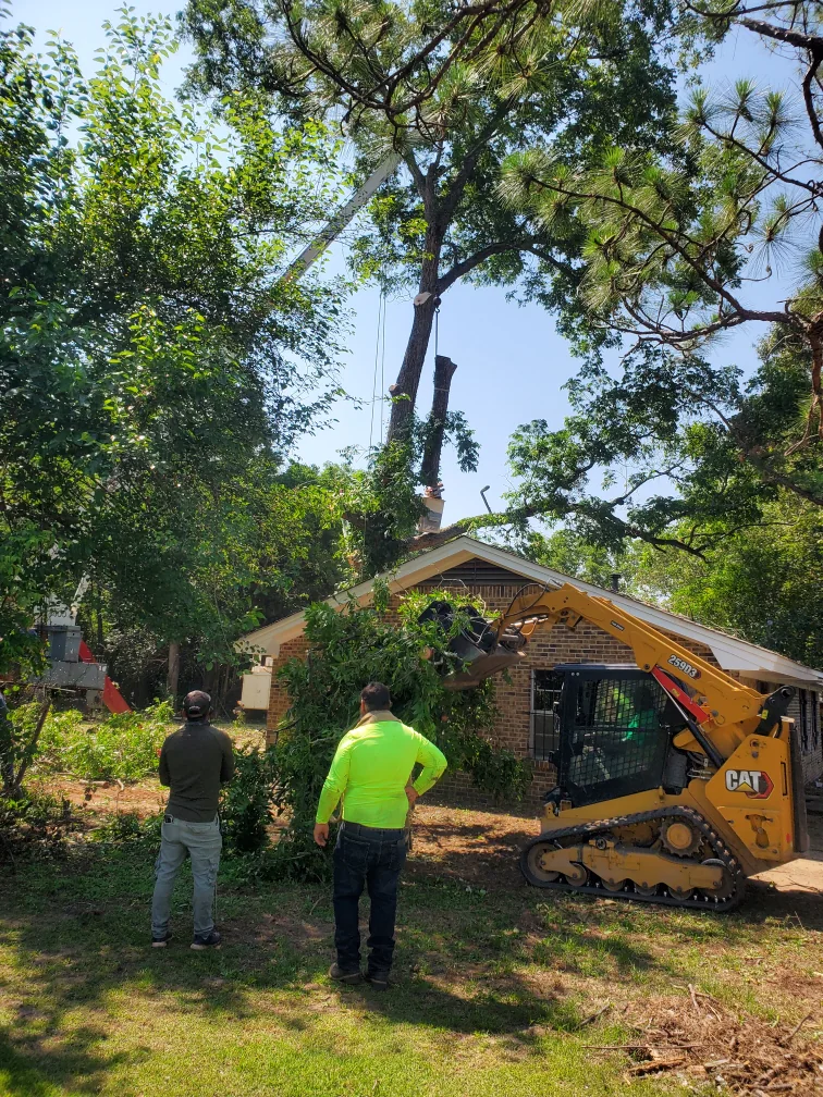 Crew coordinating a residential tree removal with a skid steer and bucket equipment