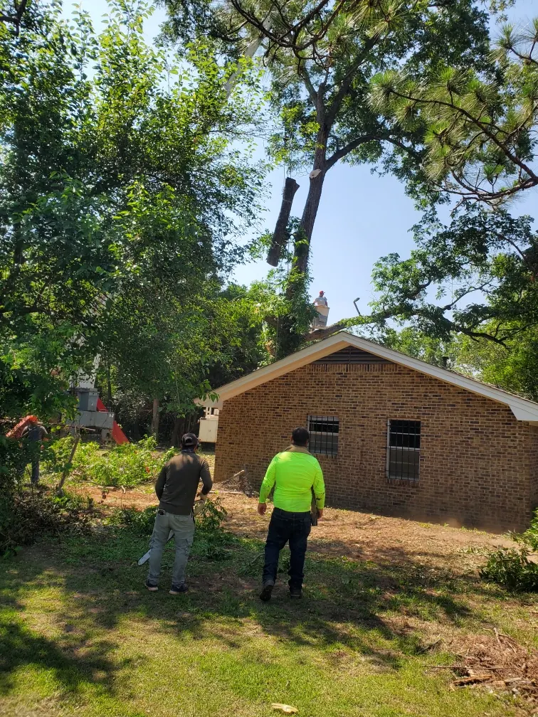 Crew members and equipment beside a partially removed tree at a home