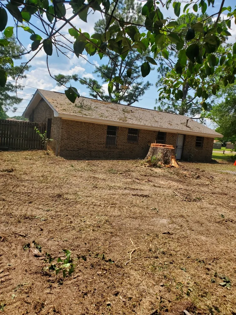 Cleared residential yard with a large remaining stump near a brick home