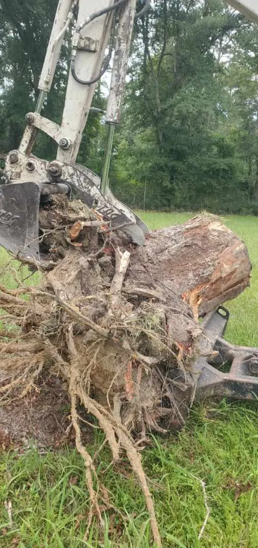 Excavator attachment lifting a stump and root mass